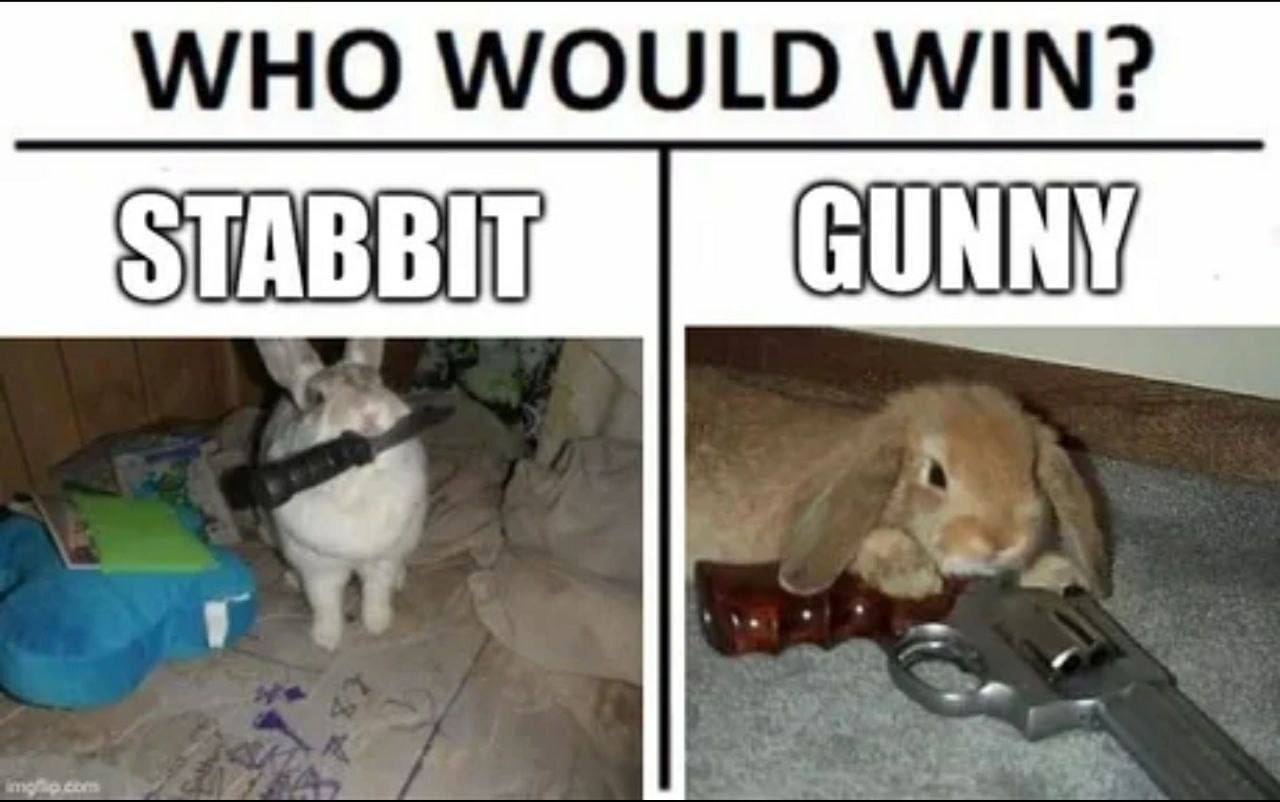 Who would win? Stabbit or Gunny Кто бы победил? Кролик с ножом (Стаббит) или кролик с пистолетом (Ганни)
