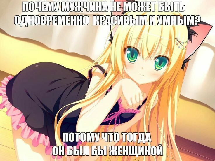Аниме-девушка с кошачьими ушками и шутливая надпись о том, почему мужчина не может быть одновременно красивым и умным