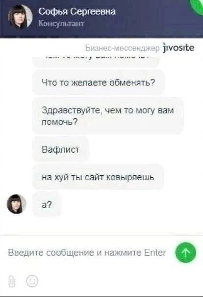 Переписка с консультантом, в которой клиент пишет «Вафлист», а затем спрашивает: «на хуй ты сайт ковыряешь»