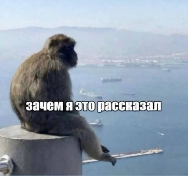 Обезьяна задумчиво смотрит вдаль с подписью «Зачем я это рассказал» — реакция на лишнюю откровенность и сожаление о сказанном.