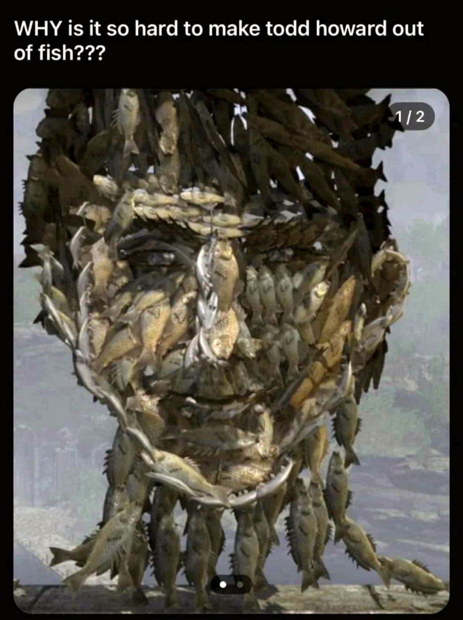 WHY is it so hard to make todd howard out of fish??? Лицо Тодда Говарда, сделанное из рыб, с вопросом WHY is it so hard to make todd howard out of fish???