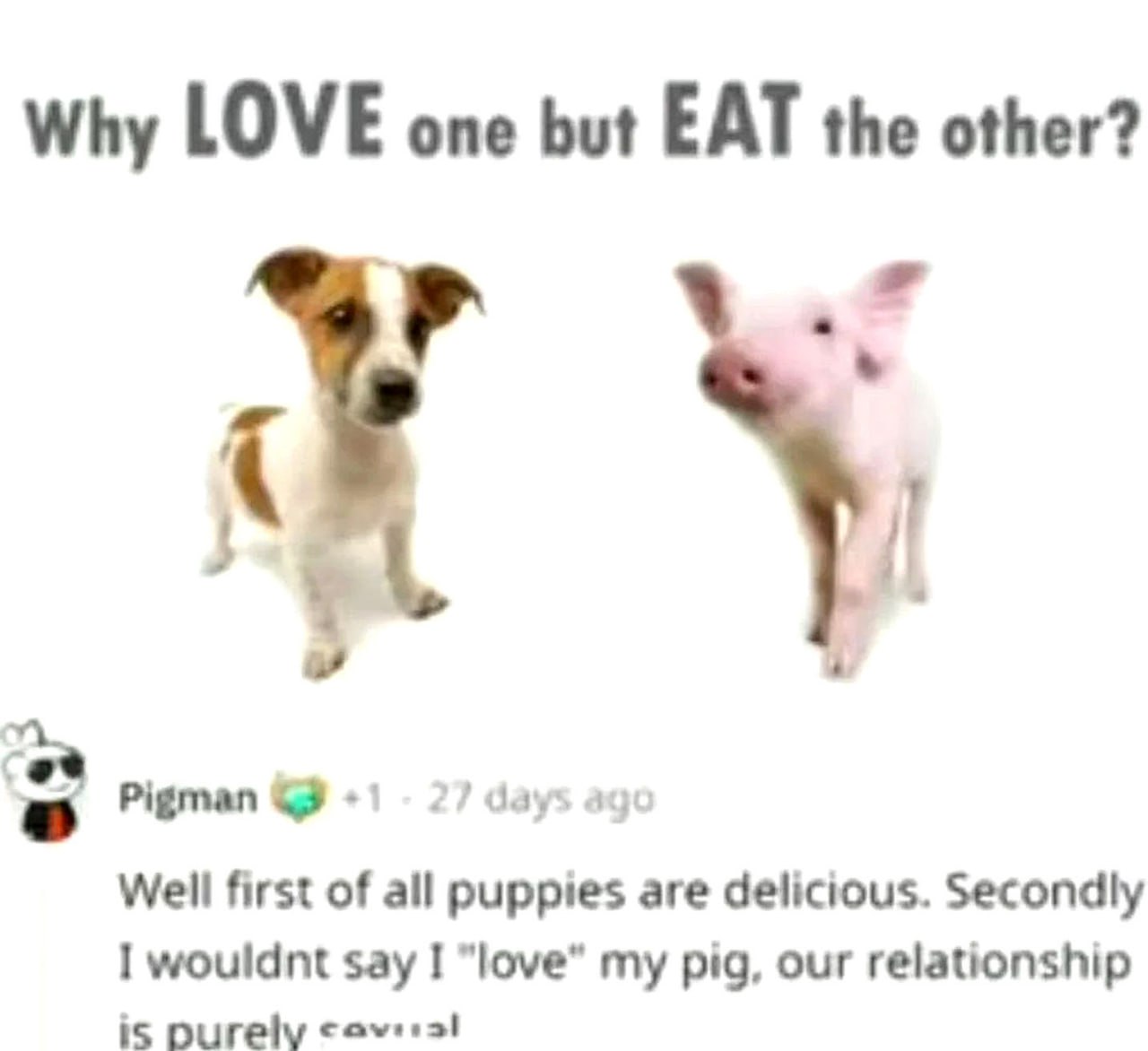 Why love one but eat the other Мем "Почему любить одного, но есть другого" со щенком, поросёнком и комментарием пользователя Pigman про чисто сексуальные отношения со свиньей