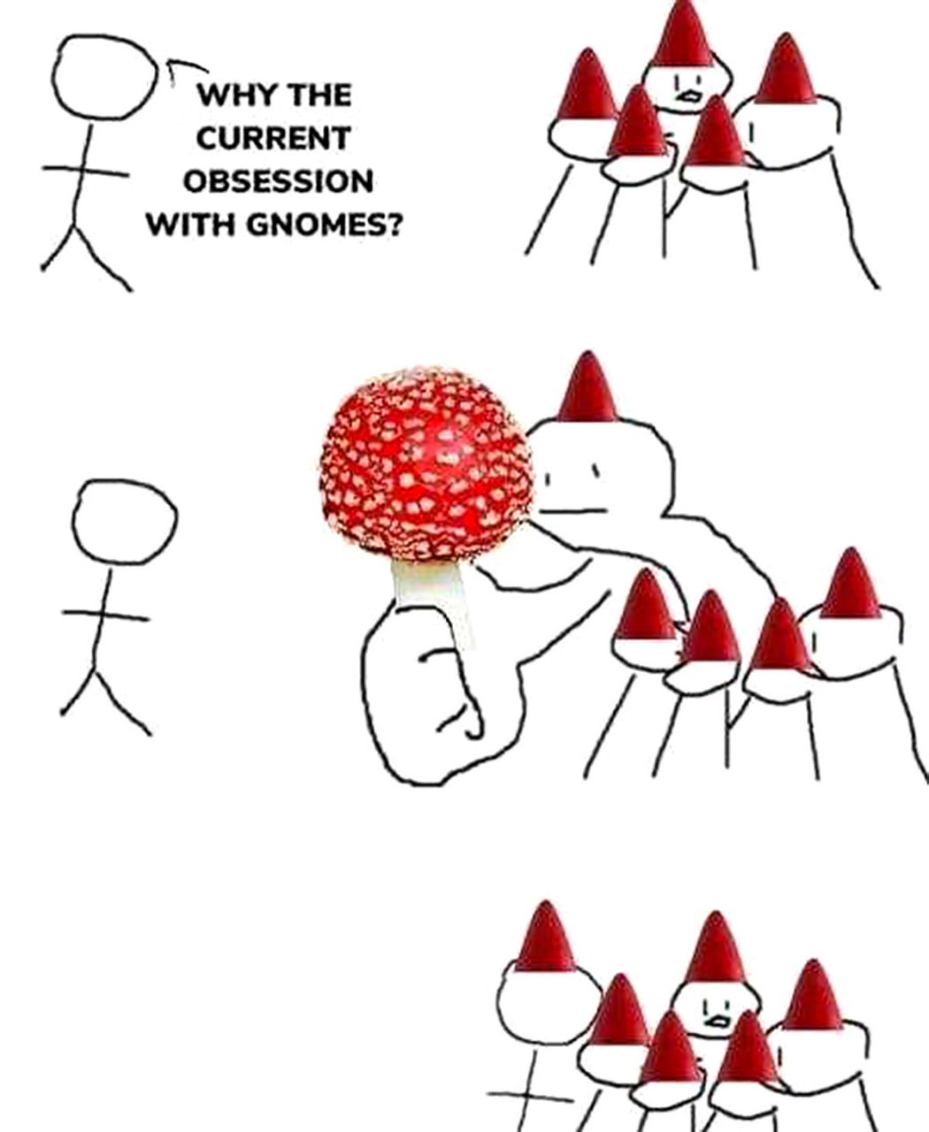 Why the current obsession with gnomes Мем про одержимость гномами и грибами мухоморами