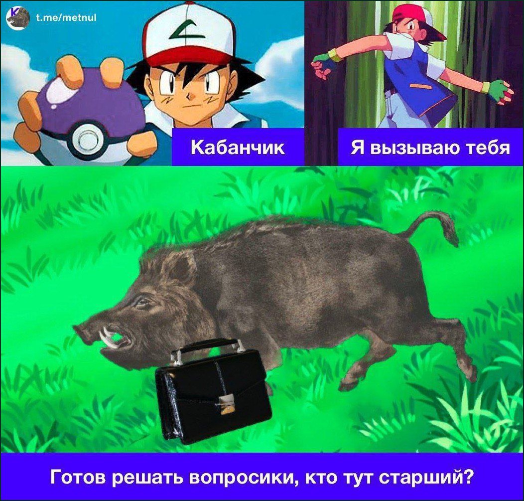 Я вызываю тебя, кабанчик Мем про Эша Кетчума, который вызывает кабана с портфелем