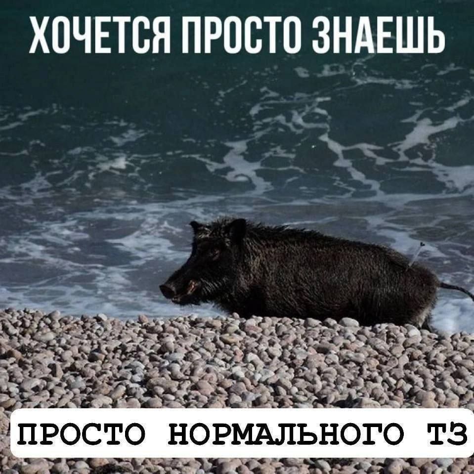 Кабан на пляже с ТЗ Кабан на пляже, который хочет нормального ТЗ