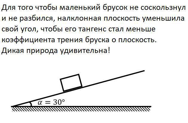 Дикая природа удивительна Маленький брусок на наклонной плоскости и удивительная дикая природа