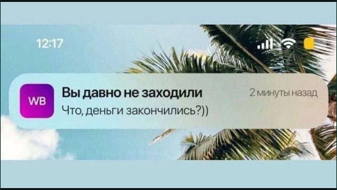 Ироничное уведомление Wildberries: «Вы давно не заходили. Что, деньги закончились?))» на фоне пальм и моря.