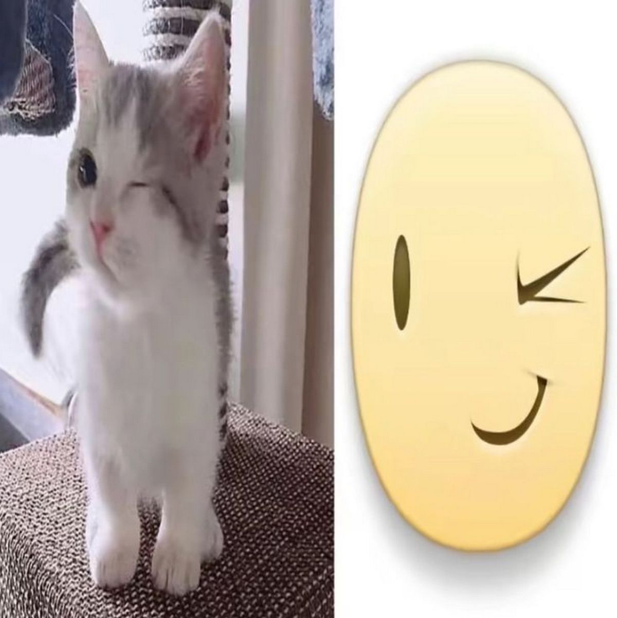 Подмигивающий котёнок и эмодзи Подмигивающий котёнок и эмодзи