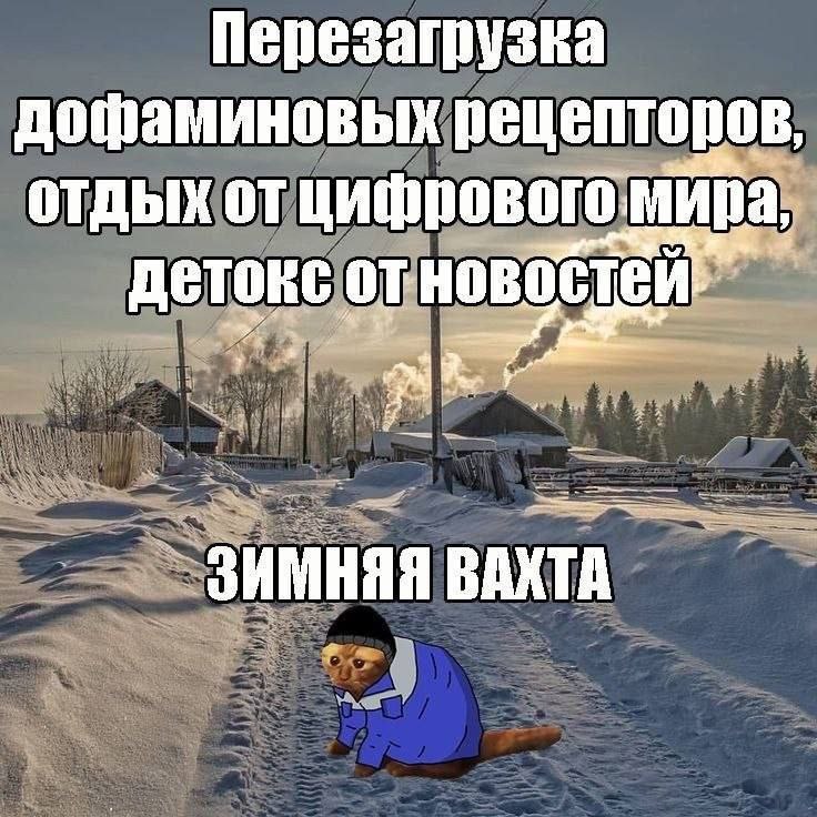 Зимняя вахта с котом в спецовке Мем "Зимняя вахта" с котом в рабочей спецовке на заснеженной дороге, символизирующий перезагрузку от цифрового мира