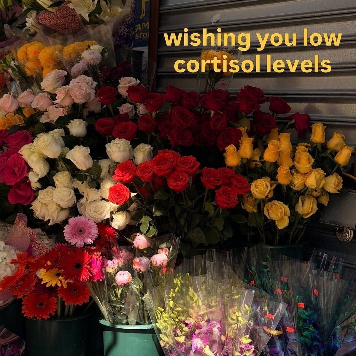 Цветочный стенд с надписью «Wishing you low cortisol levels» — «Желаю вам низкого уровня кортизола».