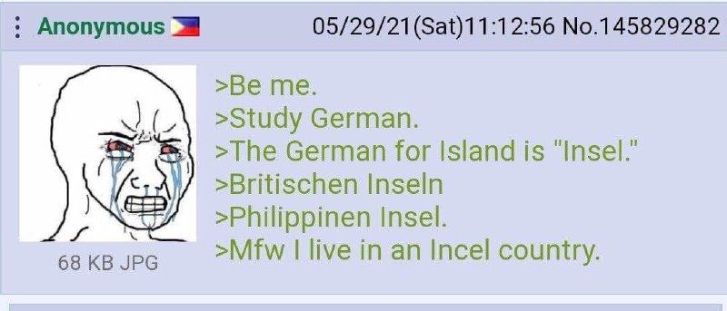 Вояк и страна инцелов Плачущий вояк и игра слов с немецким словом "Insel" (остров) и "Incel" (инцел) в контексте страны Филиппины.
