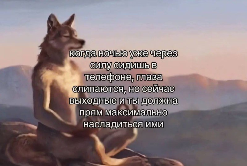 Волк-медитатор устал сидеть в телефоне на выходных Мем с волком-медитатором, который через силу сидит в телефоне, пытаясь максимально насладиться выходными.