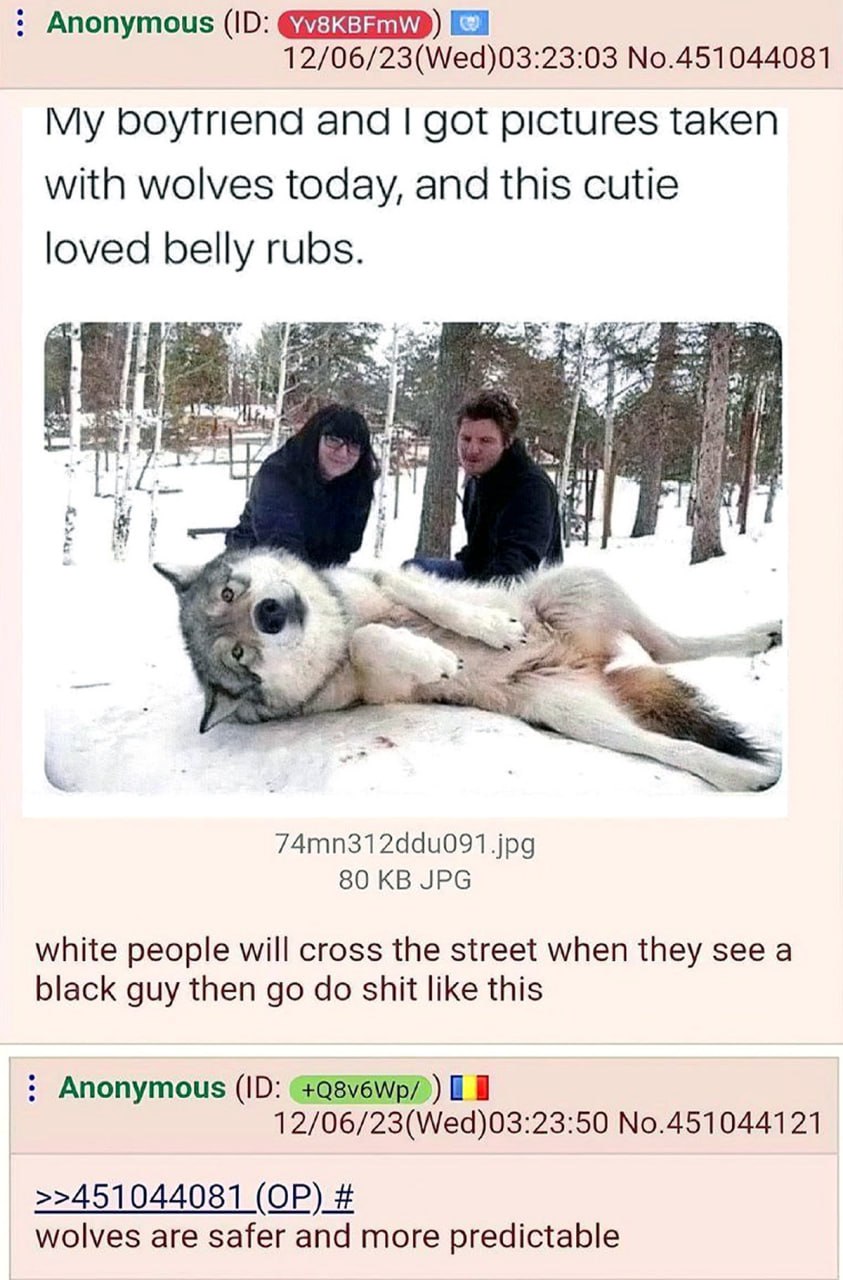Wolves are safer and more predictable Люди гладят волка в снегу, а ниже комментарии о том, что волки безопаснее и предсказуемее людей.