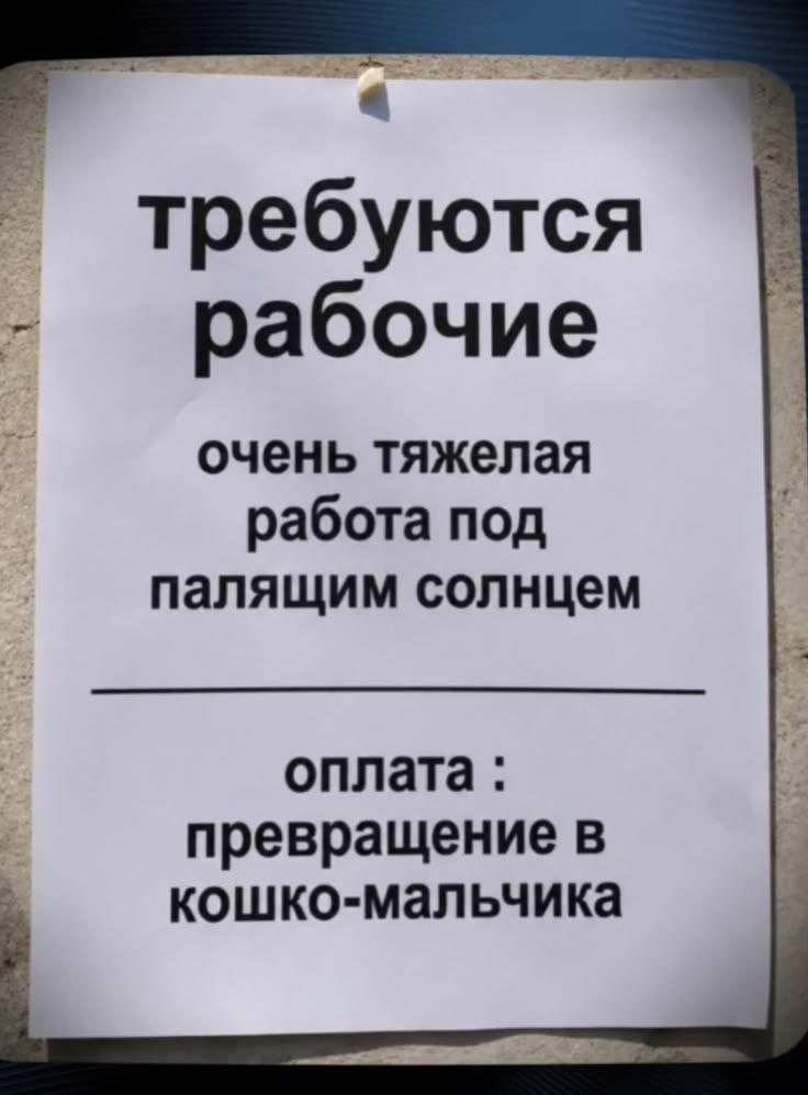 Шуточное объявление: требуются рабочие для очень тяжёлой работы под палящим солнцем, а оплатой станет превращение в кошко-мальчика.