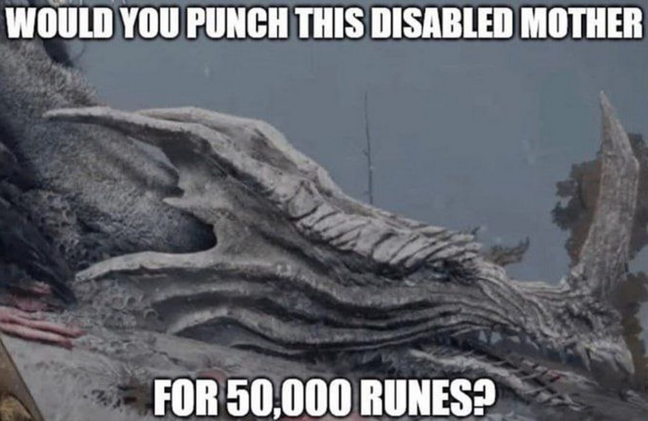 Would you punch this disabled mother for 50,000 runes? Мем про то, что готов ли ты ударить дракона-инвалида за 50 000 рун из игры Elden Ring.