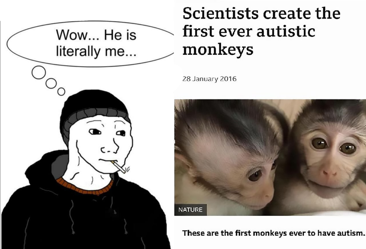 Wow... He is literally me Мем с персонажем Вояком и заголовком статьи о создании обезьян с аутизмом и надписью «Вау... это буквально я»