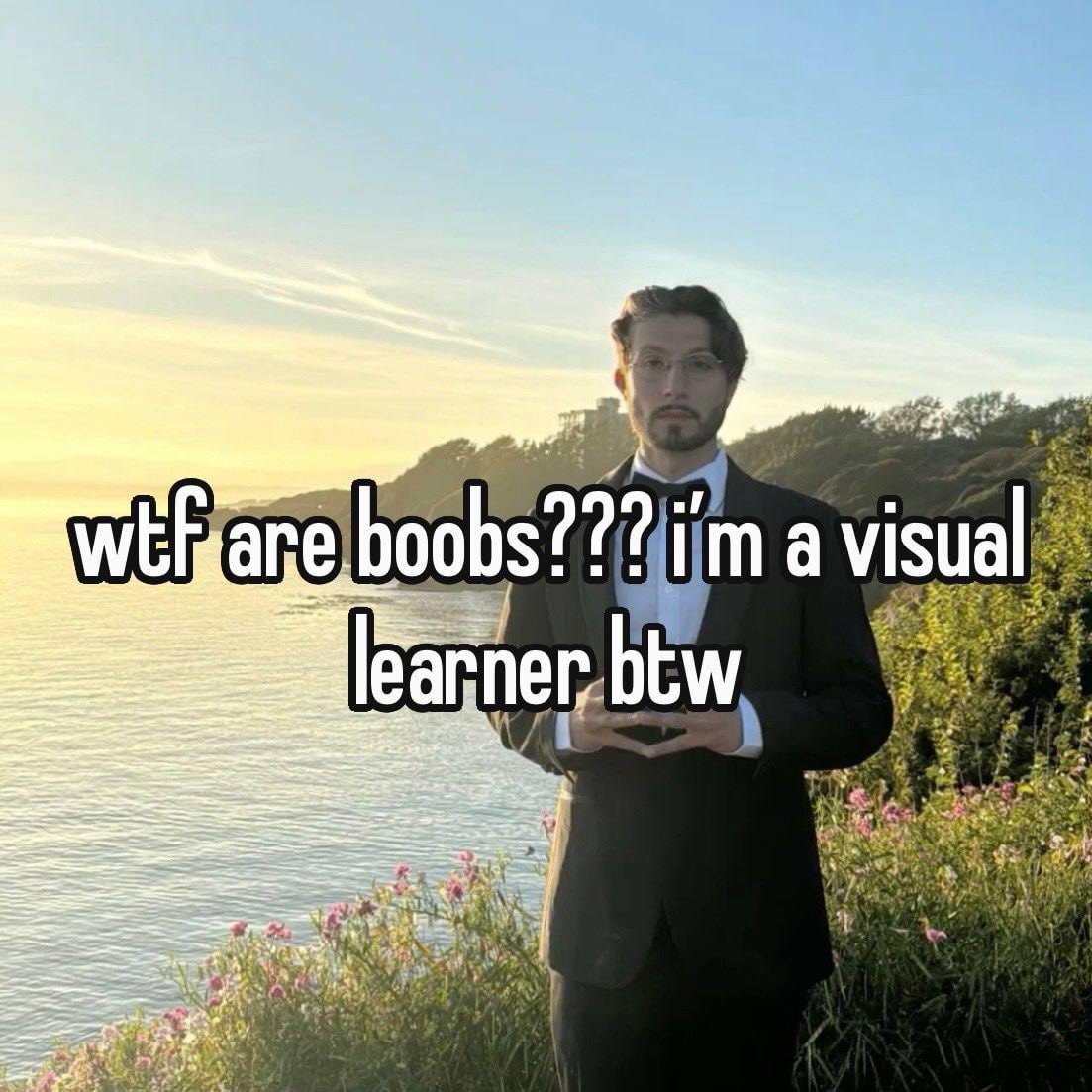 Wtf are boobs??? i’m a visual learner btw Мужчина в костюме на фоне заката с надписью «wtf are boobs??? i’m a visual learner btw»