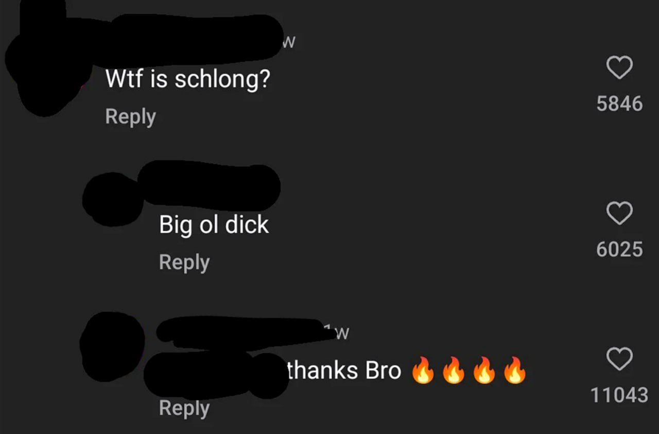 Wtf is schlong? Big ol dick, thanks Bro Пример комментария в интернете, где кто-то спрашивает: "Wtf is schlong?", а ему отвечают: "Big ol dick", после чего автор комментария пишет: "thanks Bro" с эмодзи огня.