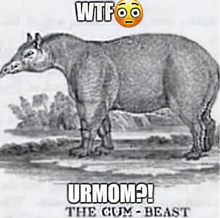 WTF URMOM?! Мем с гравюрой животного и надписями WTF, URMOM?! и THE CUM-BEAST