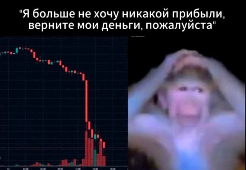 График с резким падением и испуганный человек с подписью: «Я больше не хочу никакой прибыли, верните мои деньги, пожалуйста»