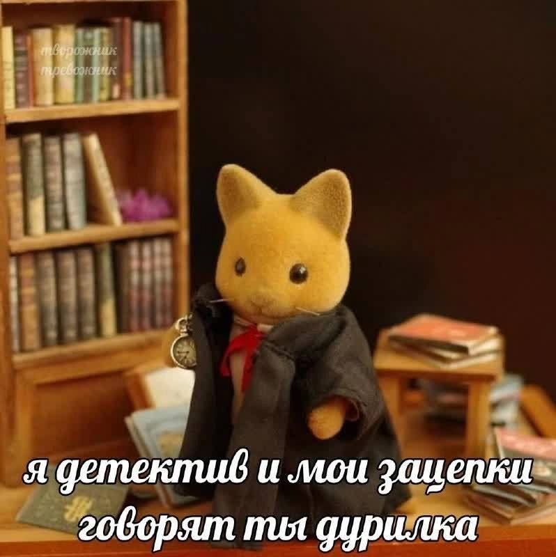 Игрушечный кот-детектив в плаще стоит среди книг, а надпись на изображении гласит: «Я детектив и мои защелки говорят ты дурилка».