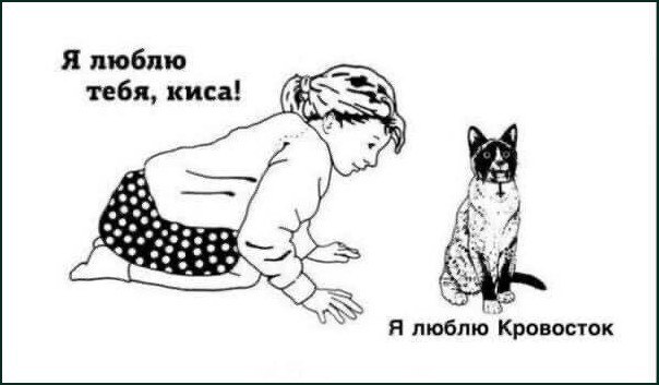 Женщина признаётся кошке в любви, а кошка отвечает, что любит Кровосток.
