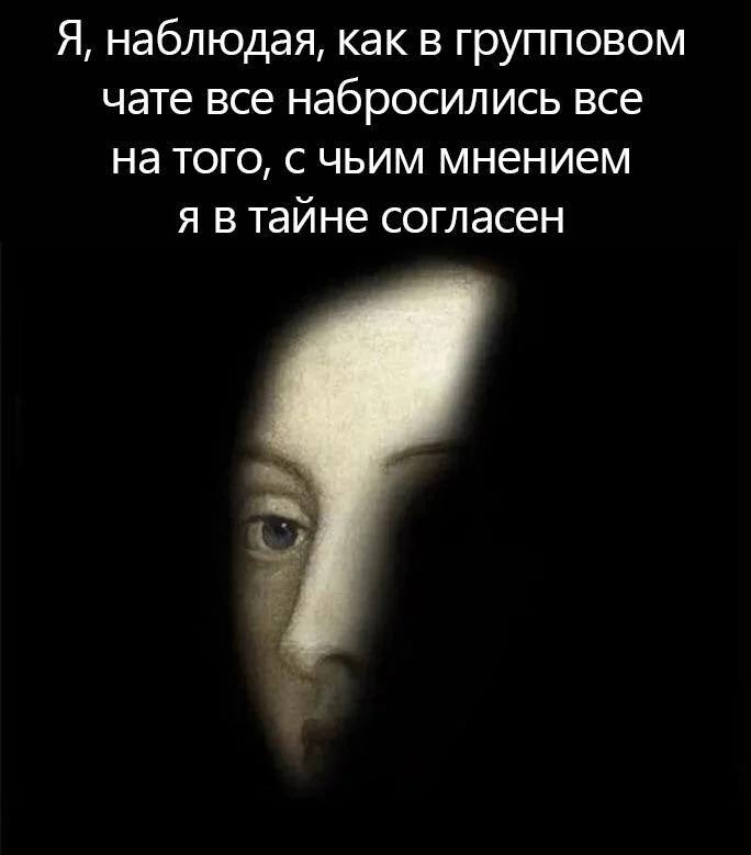 Я, наблюдая, как в групповом чате все набросились на того, с чьим мнением я в тайне согласен Мем с человеком, который в тайне согласен с мнением, но его все набрасываются в чате
