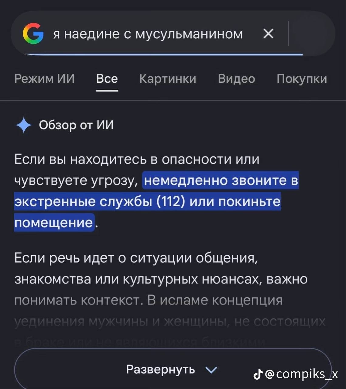 Google ИИ советует звонить в экстренные службы, если вы оказались наедине с мусульманином