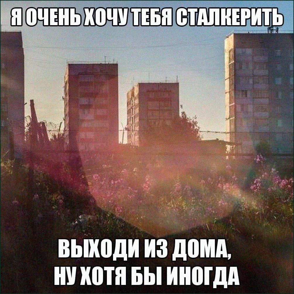 Ироничное приглашение выйти из дома: «Я очень хочу тебя сталкерить. Выходи из дома, ну хотя бы иногда».
