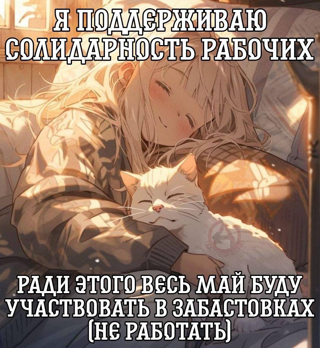 Я поддерживаю солидарность рабочих Мем про солидарность рабочих и забастовки в мае