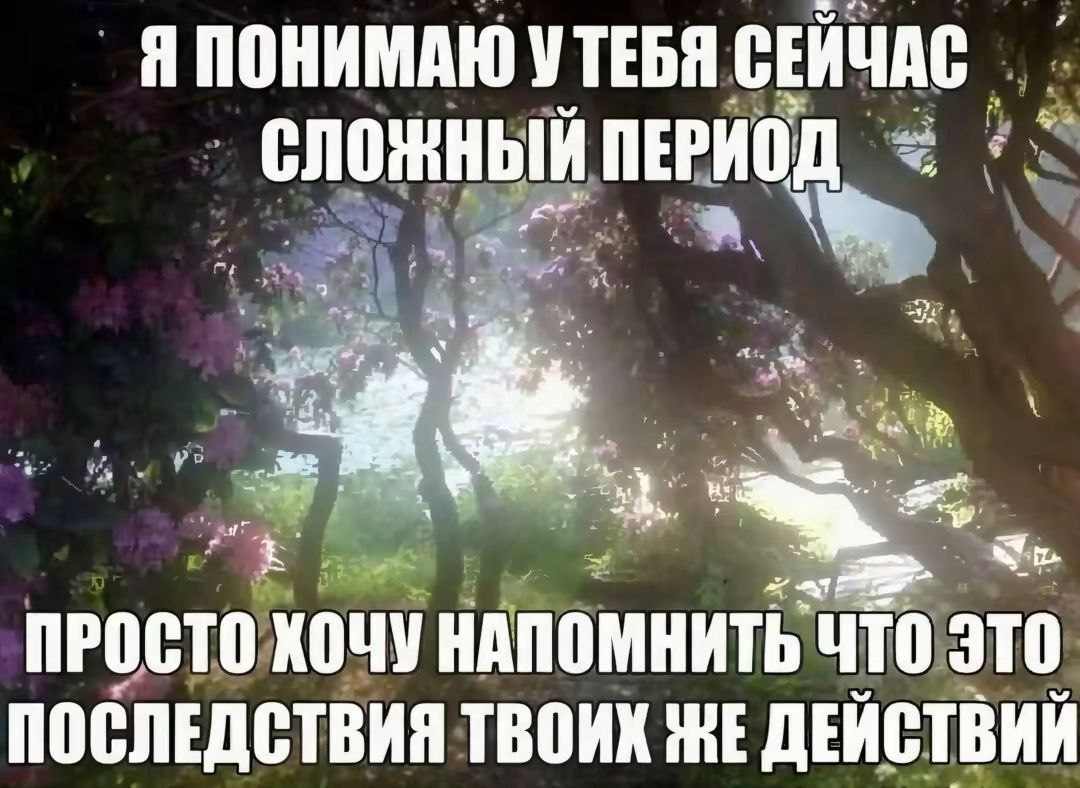 Саркастичное напоминание о том, что сложный период стал последствиями собственных действий.