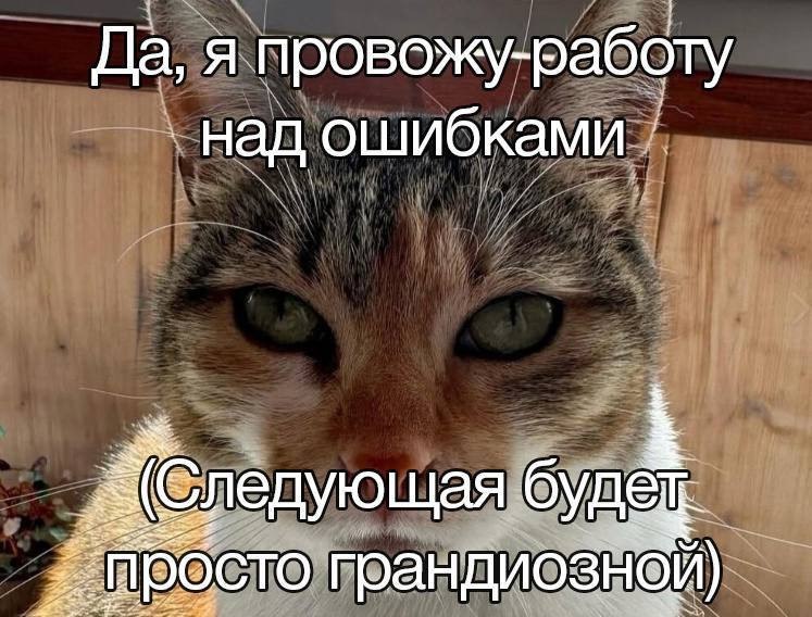 Я провожу работу над ошибками Фотография кота с надписью: «Да, я провожу работу над ошибками (следующая будет просто грандиозной)»