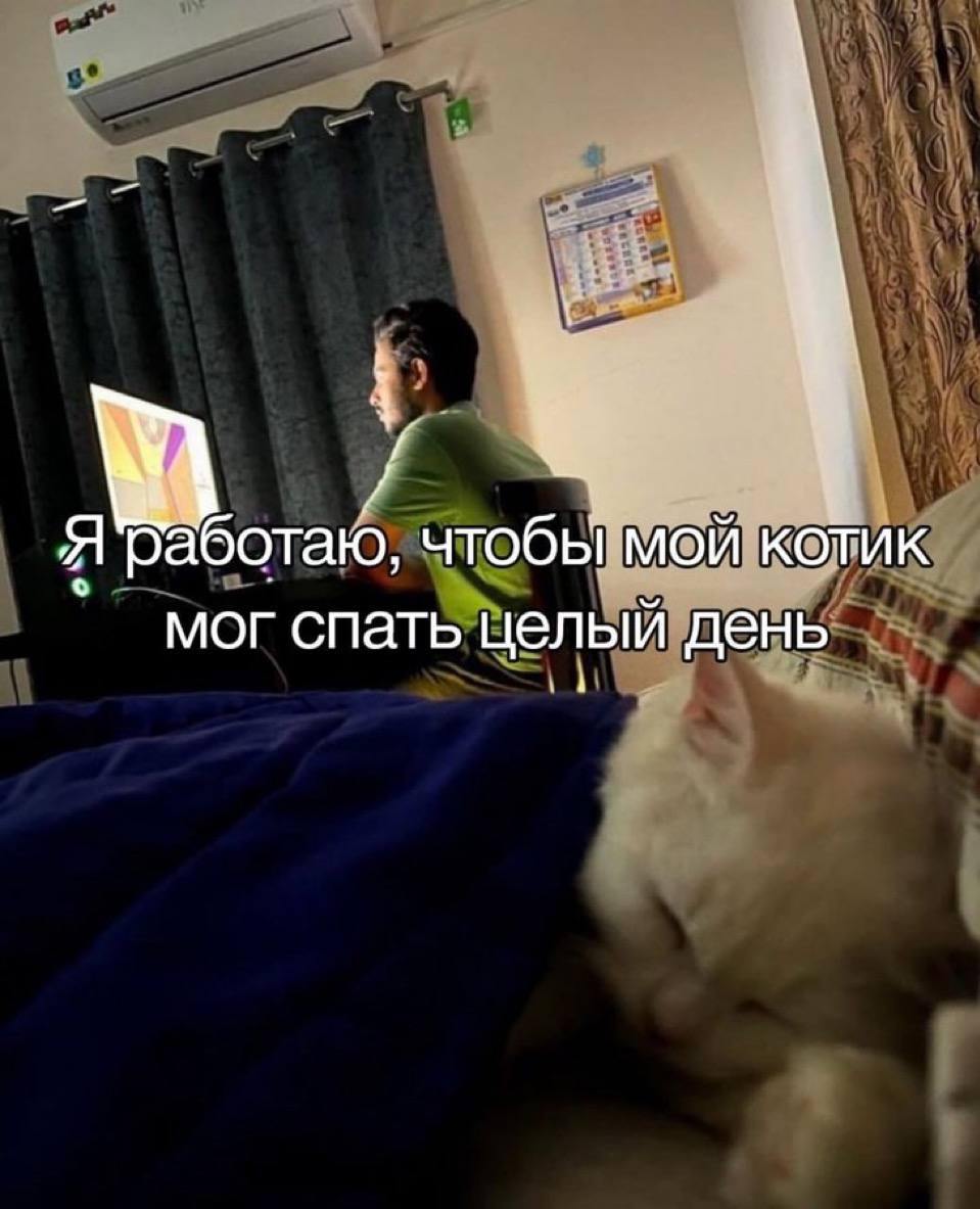 Я работаю, чтобы мой котик мог спать целый день Человек сидит за компьютером и работает, а его белый кот спит рядом, накрывшись одеялом. Надпись на картинке гласит: «Я работаю, чтобы мой котик мог спать целый день».