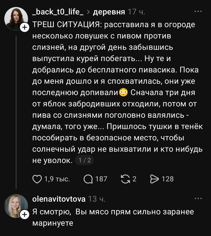 Скриншот шутливой переписки: после истории про кур, выпивших пиво из ловушек против слизней, в ответ пишут: «Я смотрю, вы мясо прям сильно заранее маринуете».