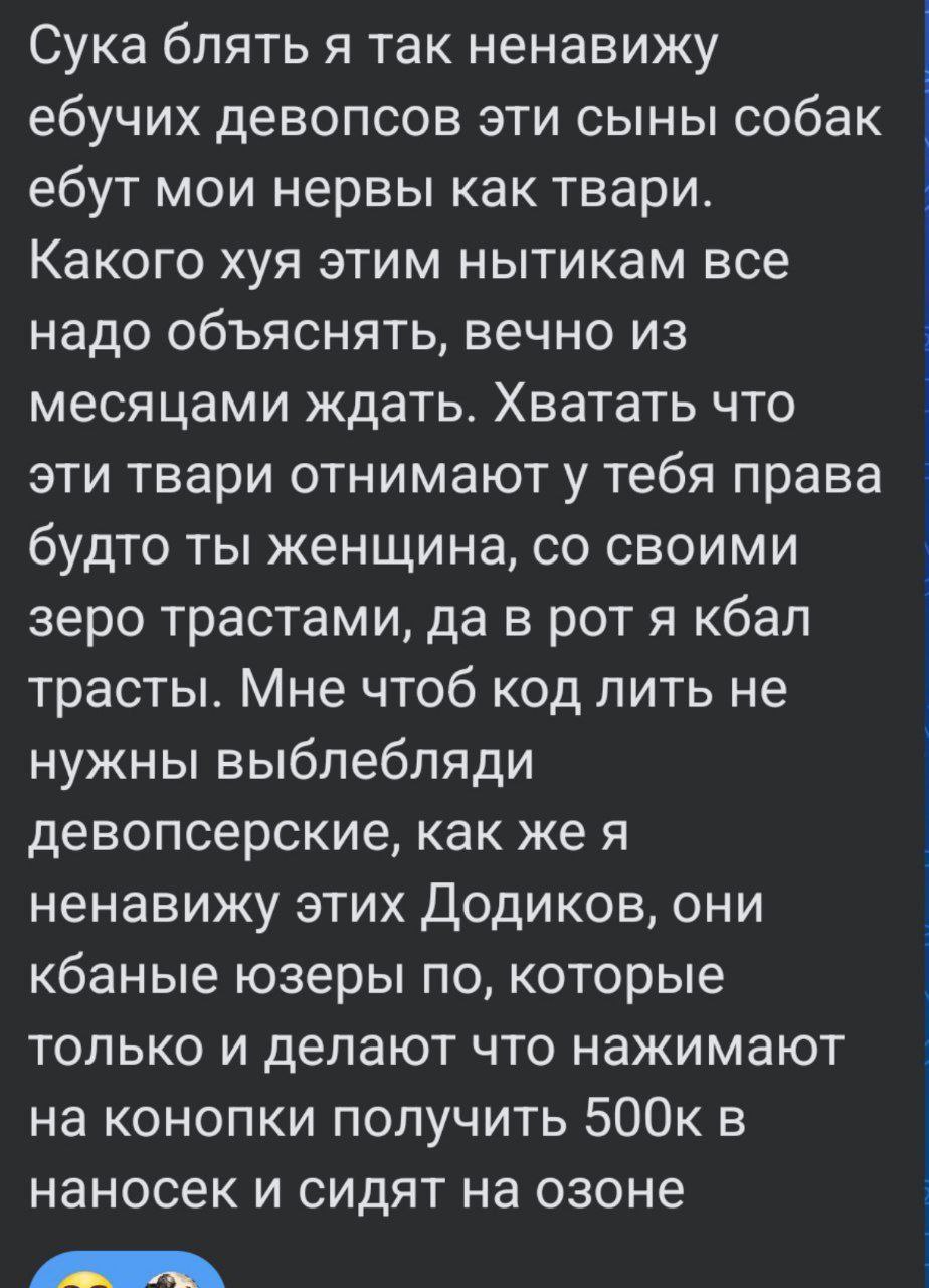 Я так ненавижу ебучих девопсов Скриншот сообщения, в котором человек высказывает свою ненависть к девопсам, называя их Додиками и выражая свое негодование по поводу того, что ему приходится все объяснять и ждать по месяцам.