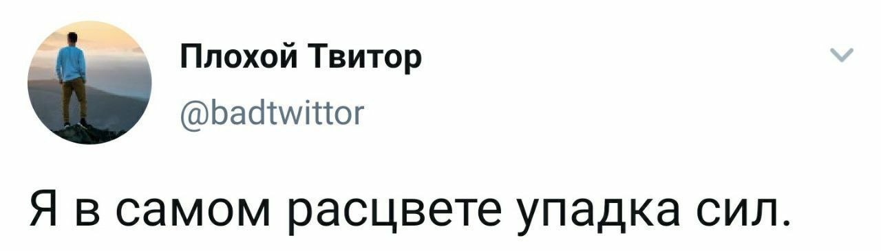 Я в самом расцвете упадка сил Мем с надписью «Я в самом расцвете упадка сил» и изображением профиля пользователя «Плохой Твитор»