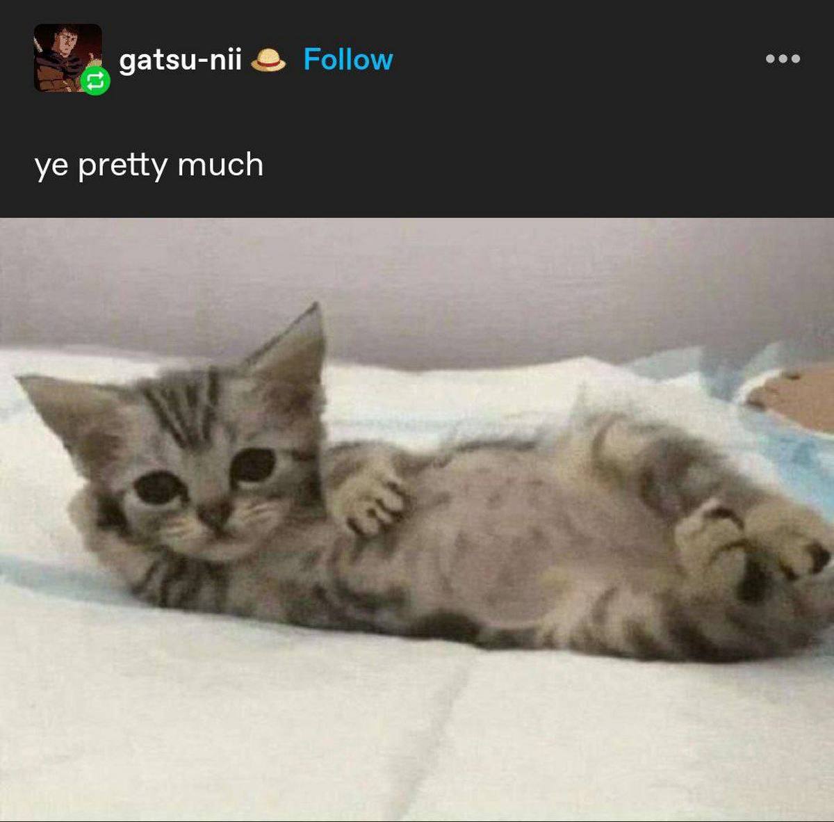 Ye pretty much котёнок Милый полосатый котёнок лежит на спине с надписью "ye pretty much"