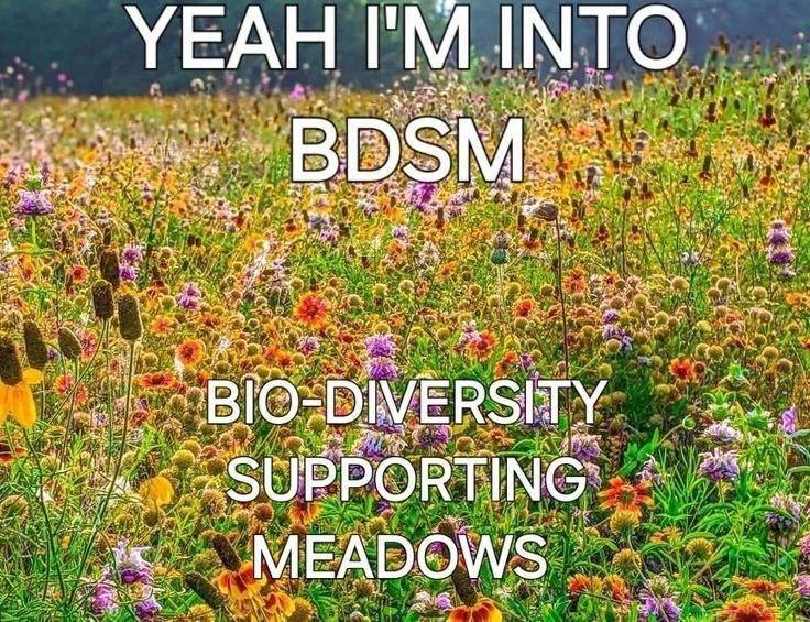 Мем про БДСМ и луга, поддерживающие биоразнообразие