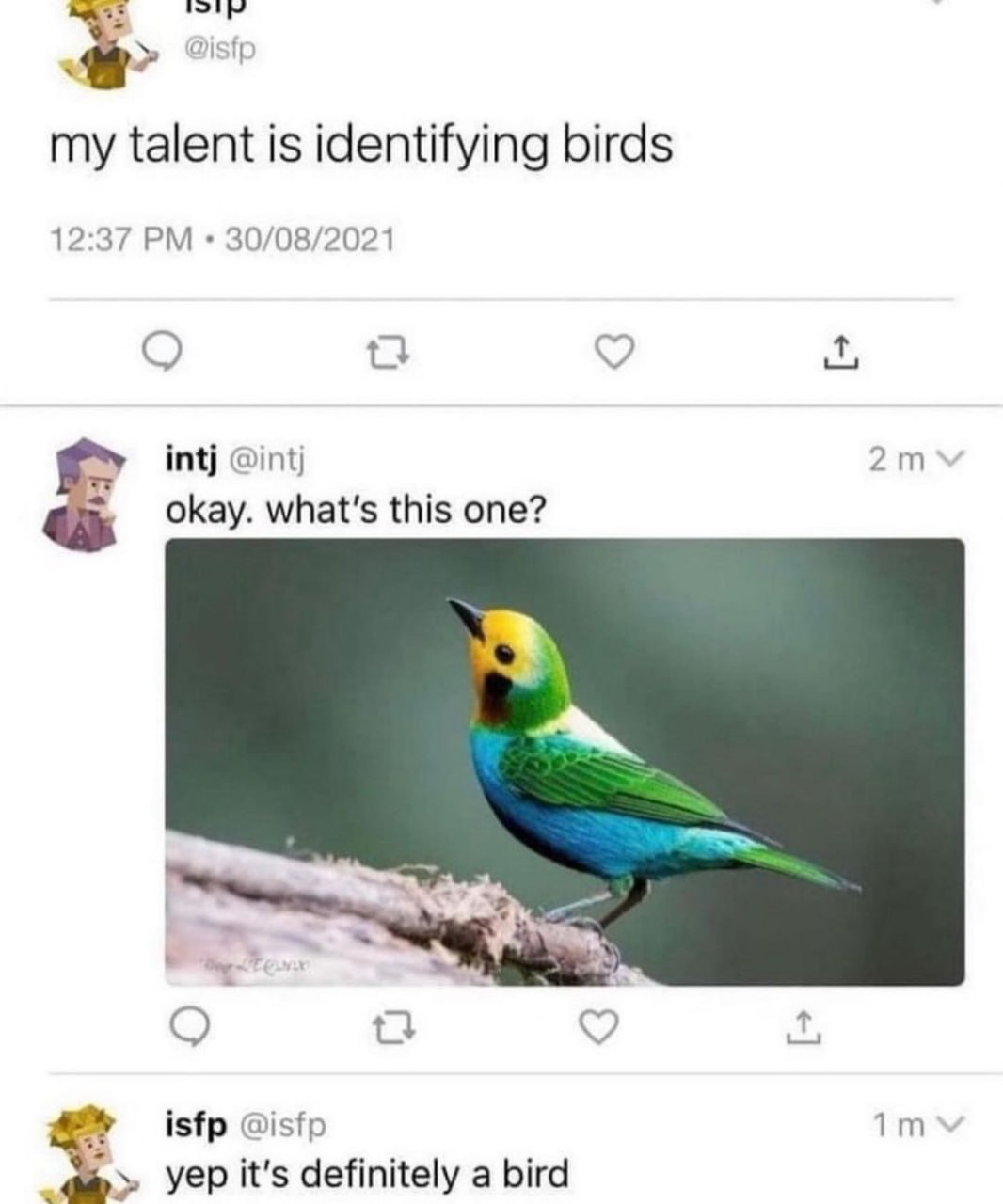 Yep it's definitely a bird ISFP определяет птицу как «определенно птицу»