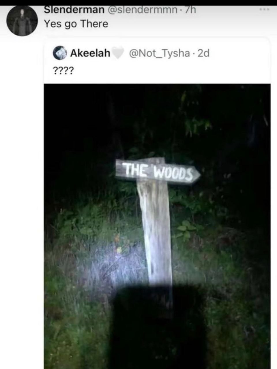 Скриншот с фразой «Yes go There» и фотографией ночного указателя «THE WOODS», ведущего в тёмный лес.