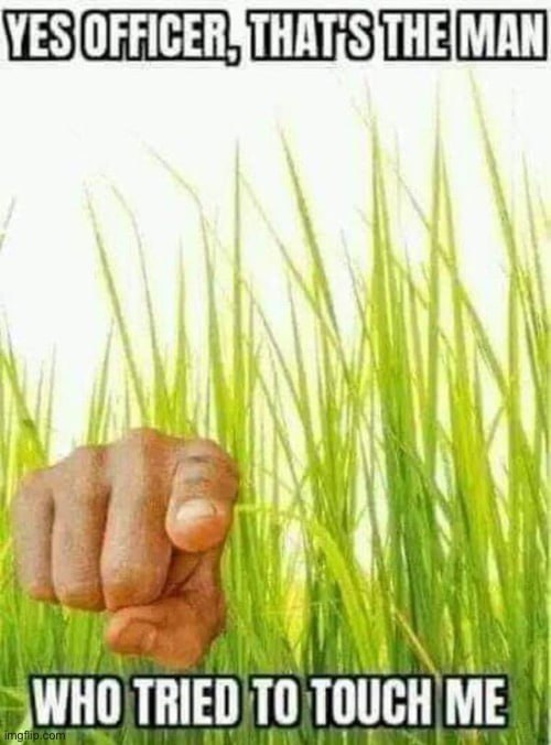 Да, офицер, это тот человек Мем с рукой, указывающей на траву, и надписью: Да, офицер, это тот человек, который пытался ко мне прикоснуться