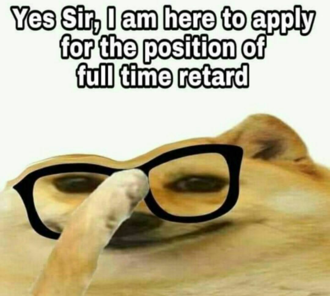 Мем Yes Sir, I am here to apply for the position of full time retard Мем с собакой в очках, которая говорит: Yes Sir, I am here to apply for the position of full time retard.