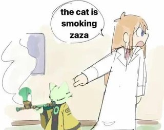 И из Nine Sols указывает на маленького кота рядом с дымом, а в облачке написано: the cat is smoking zaza