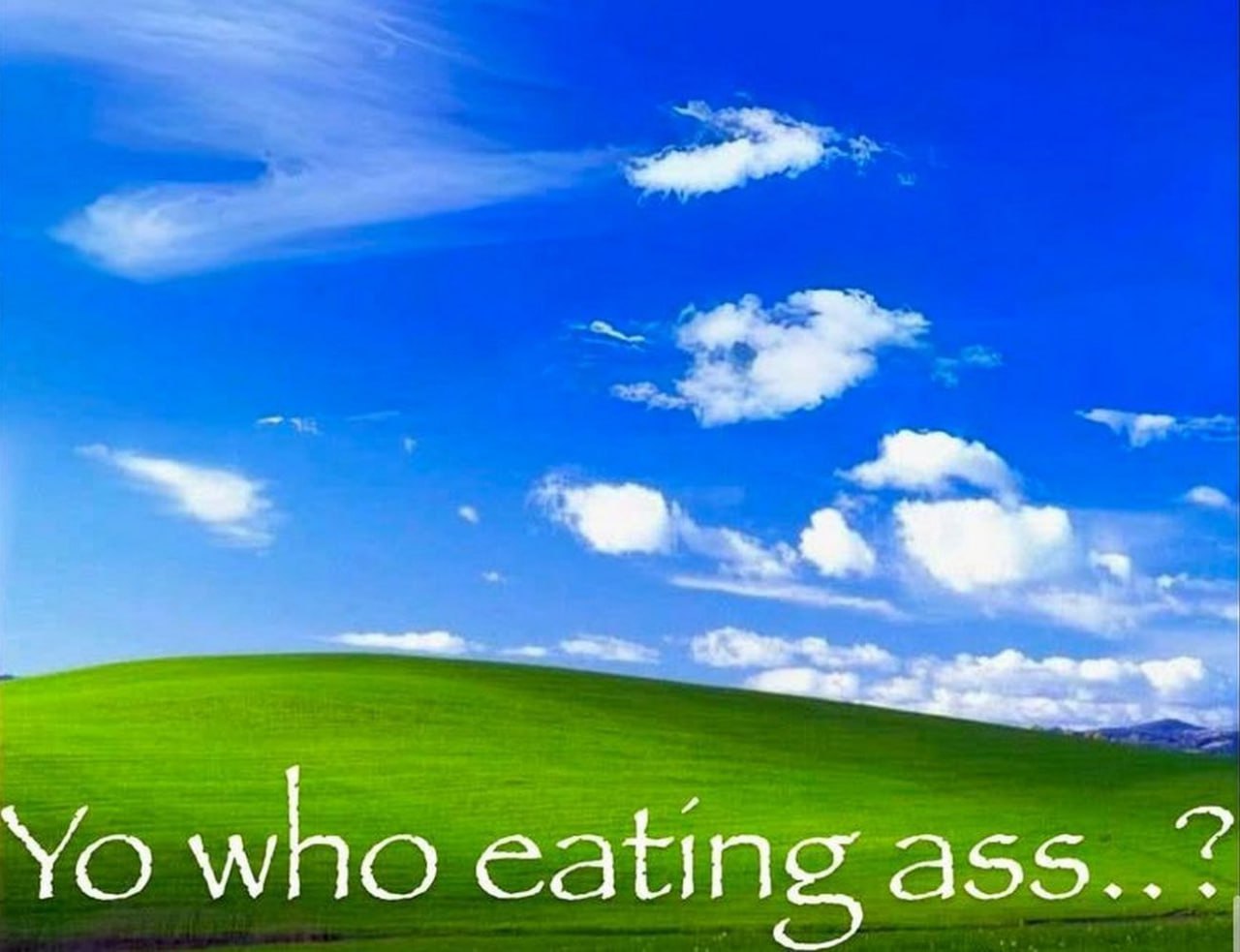 Yo who eating ass Мем Yo who eating ass на фоне обоев Windows XP