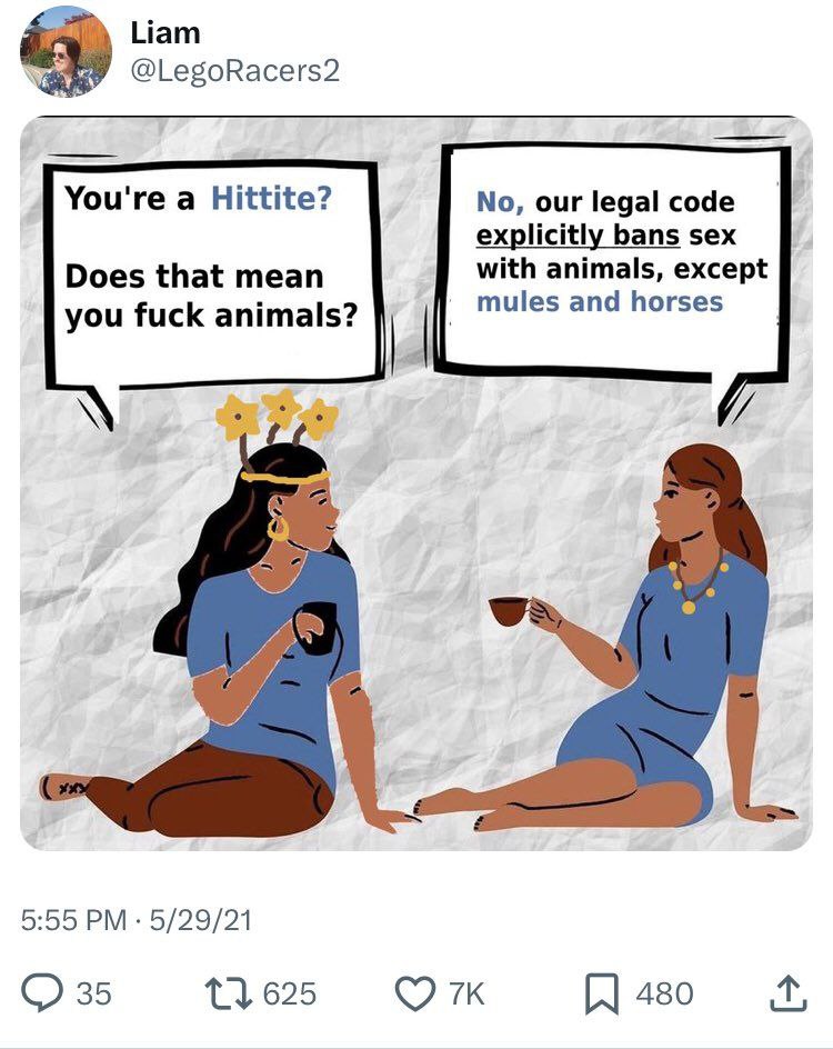You're a Hittite? Мем про хеттов и зоофилию, который был опубликован в твиттере. В нём две женщины в древних нарядах разговаривают, одна спрашивает другую: "Ты хетт? Это значит, что ты трахаешь животных?". На что вторая отвечает: "Нет, наш правовой кодекс прямо запрещает секс с животными, за исключением мулов и лошадей".