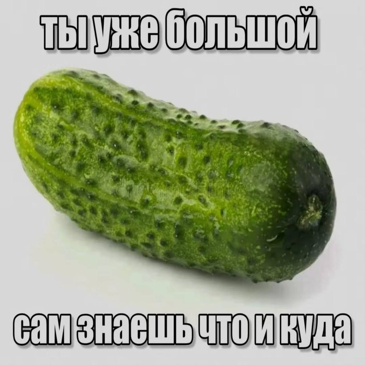 Необычной формы огурец с надписью «Ты уже большой, сам знаешь что и куда» — двусмысленный овощной юмор.