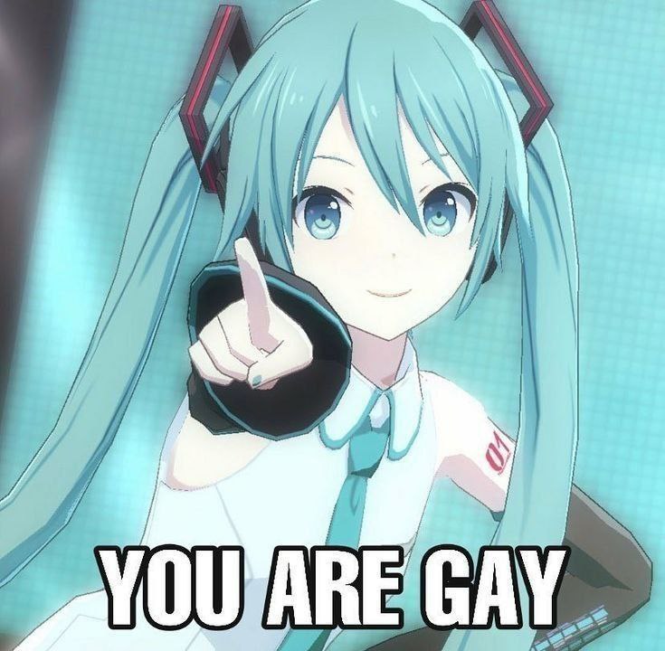 Хацунэ Мику указывает пальцем на зрителя с надписью «YOU ARE GAY»