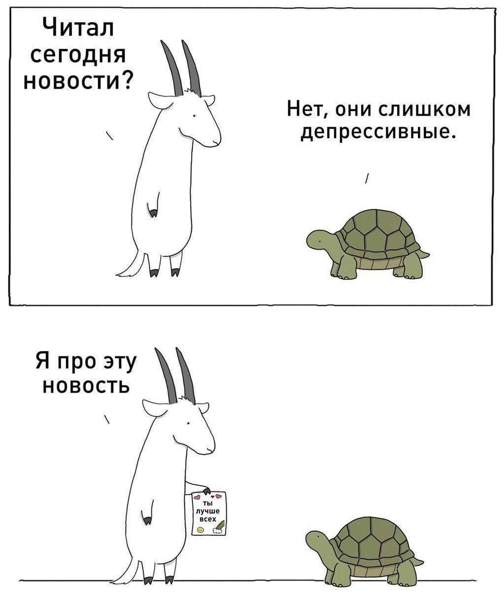 Ты лучше всех Мем с козлом, который говорит черепахе «Ты лучше всех»