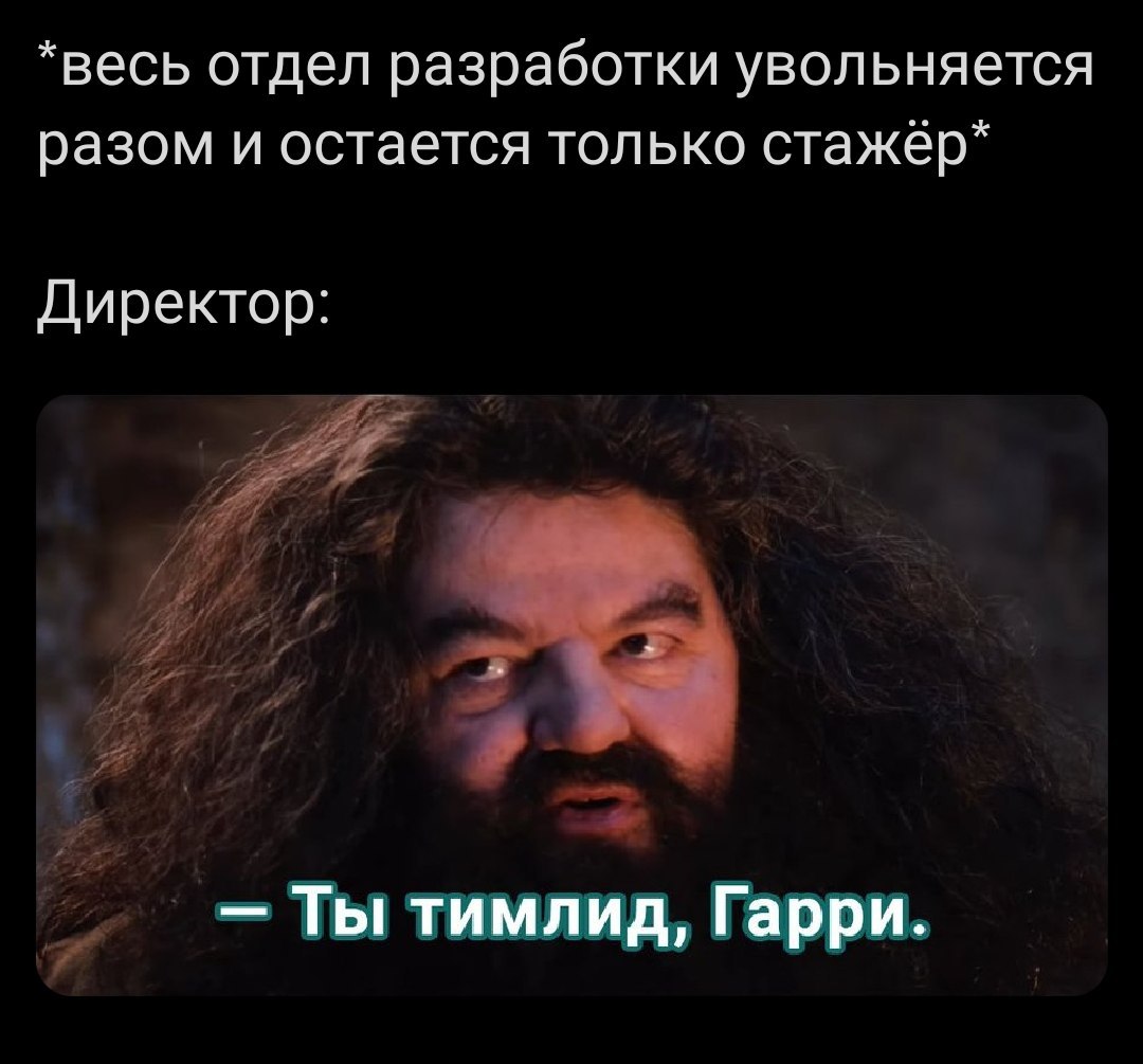 Ты тимлид, Гарри Мем с Хагридом «Ты тимлид, Гарри» о том, как весь отдел разработки увольняется и остается только стажер.