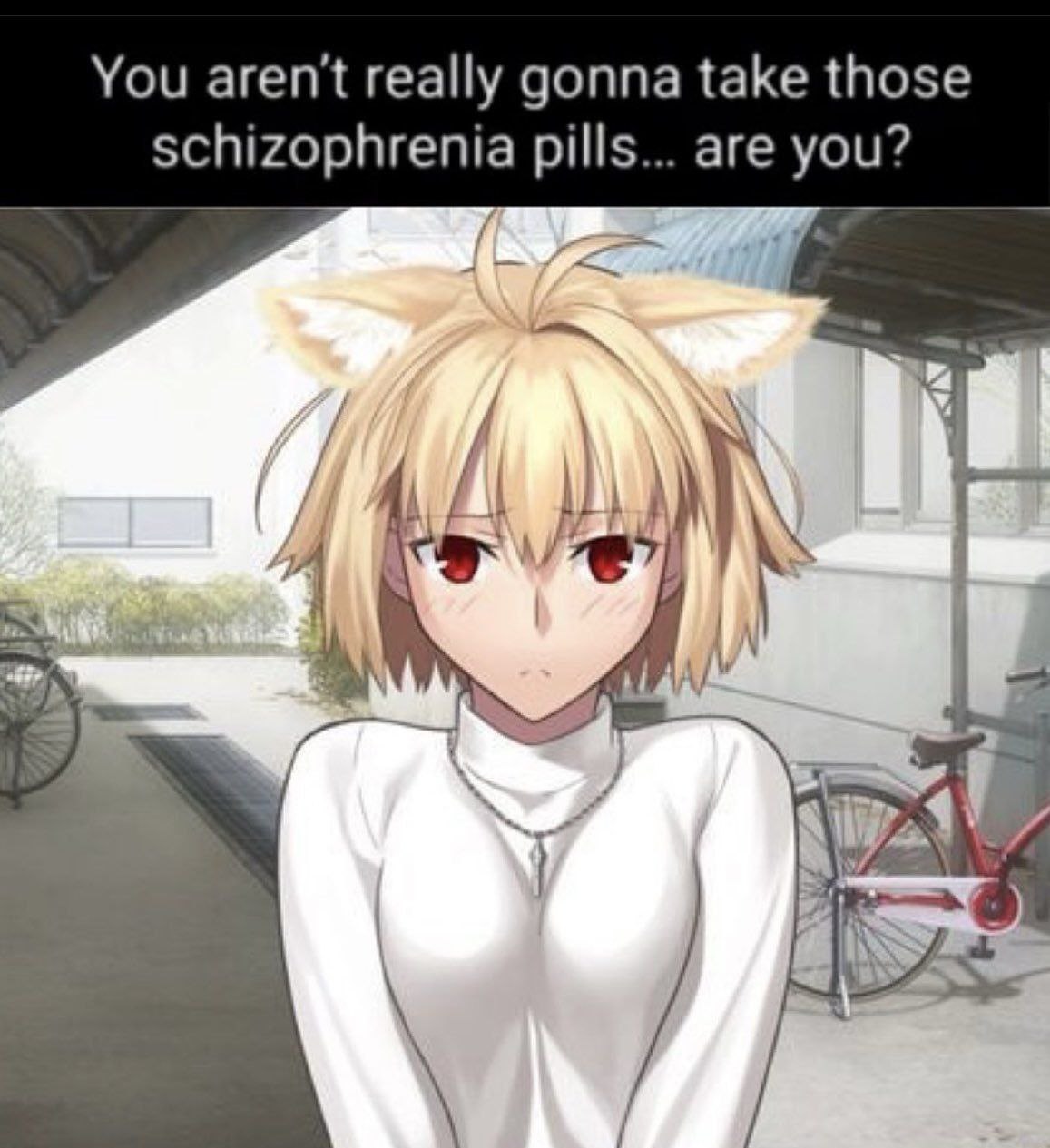 Девушка-аниме с кошачьими ушками и текстом "You aren't really gonna take those schizophrenia pills... are you?"